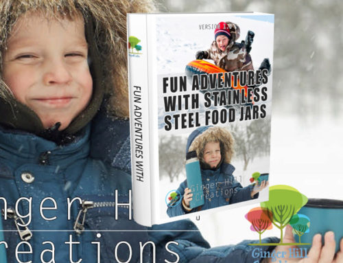 Fun Adventures with Stainless Steel Food Jars